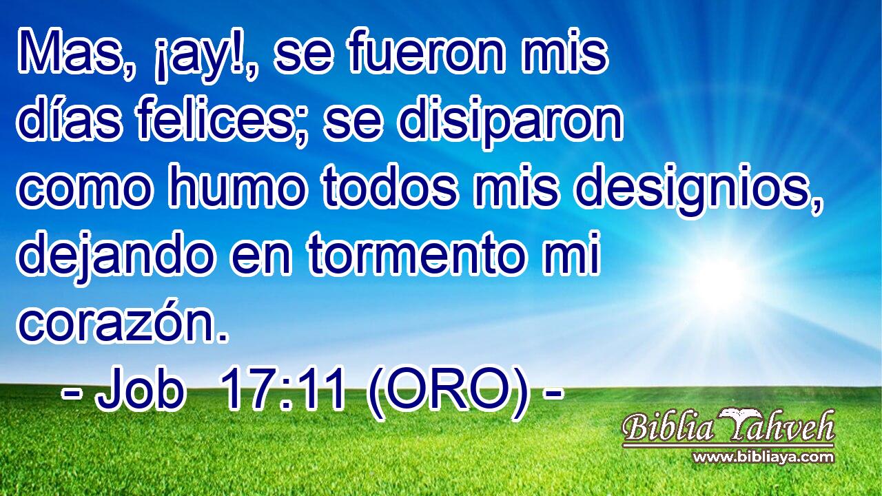  Mas, ¡ay!, se fueron mis días felices; se disiparon como humo todos mis designios, dejando en tormento mi corazón. 