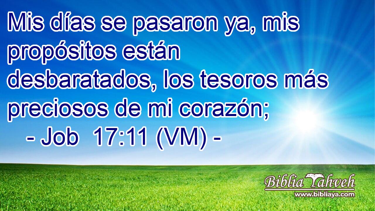  Mis días se pasaron ya, mis propósitos están desbaratados, los tesoros más preciosos de mi corazón; 