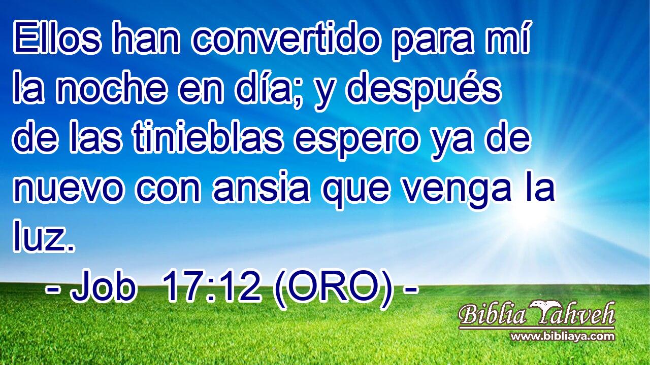  Ellos han convertido para mí la noche en día; y después de las tinieblas espero ya de nuevo con ansia que venga la luz. 