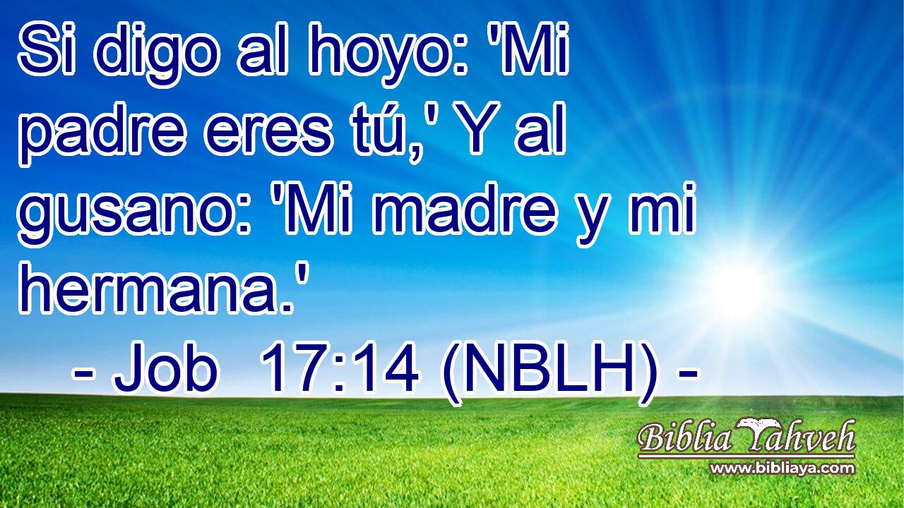  Si digo al hoyo: 'Mi padre eres tú,' Y al gusano: 'Mi madre y mi hermana.' 