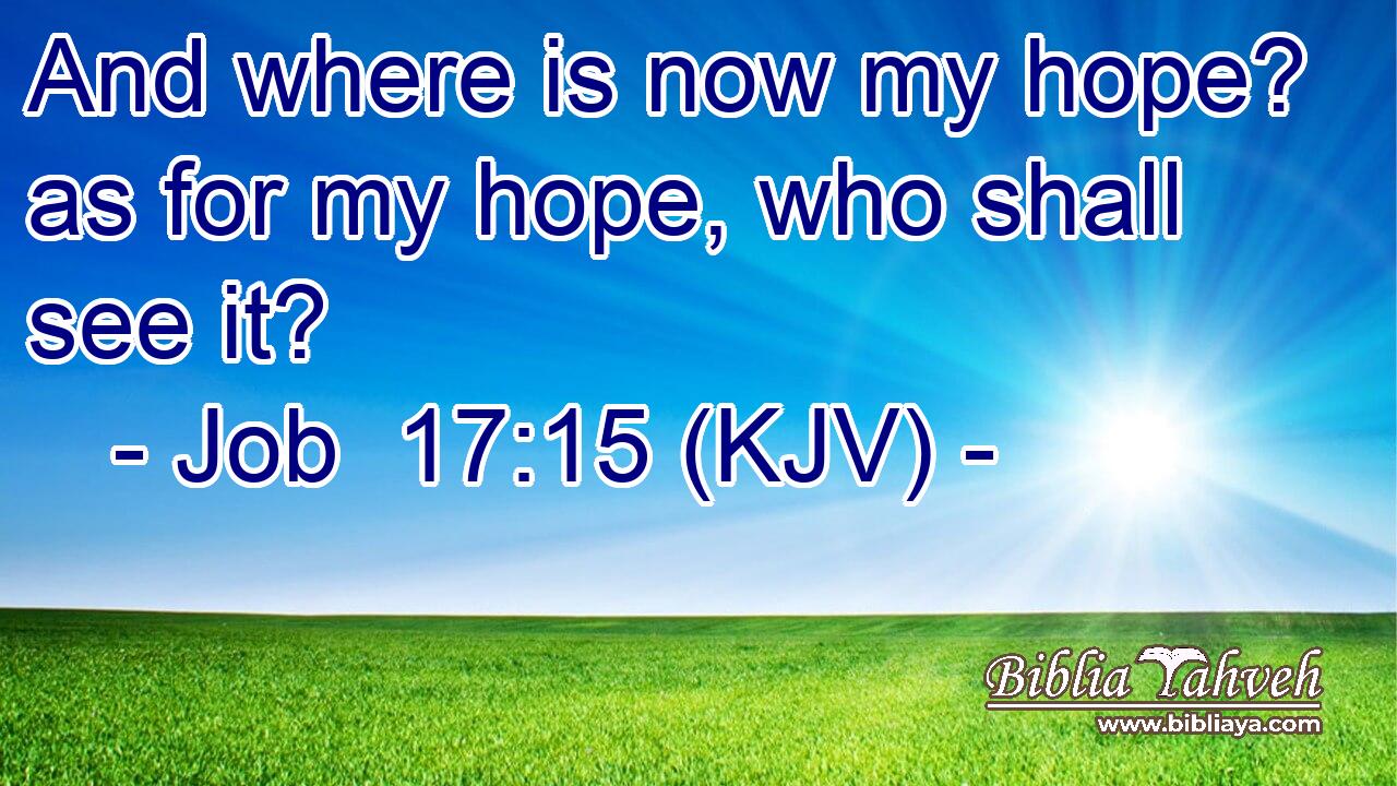 And where is now my hope? as for my hope, who shall see it?