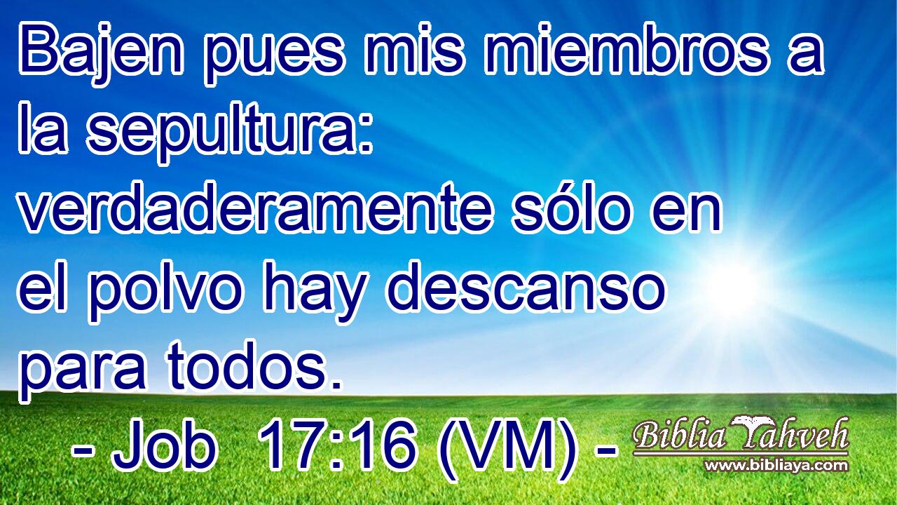  Bajen pues mis miembros a la sepultura: verdaderamente sólo en el polvo hay descanso para todos. 