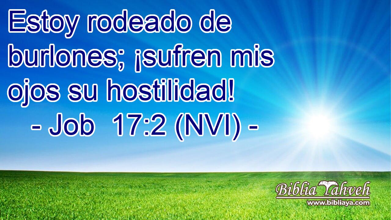  Estoy rodeado de burlones; ¡sufren mis ojos su hostilidad! 