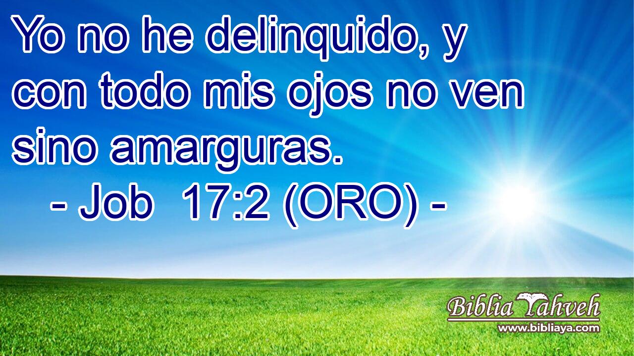  Yo no he delinquido, y con todo mis ojos no ven sino amarguras. 