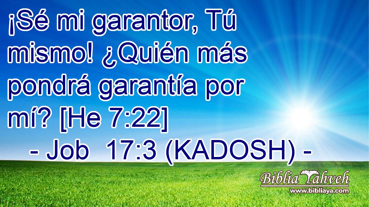  ¡Sé mi garantor, Tú mismo! ¿Quién más pondrá garantía por mí? [He 7:22] 