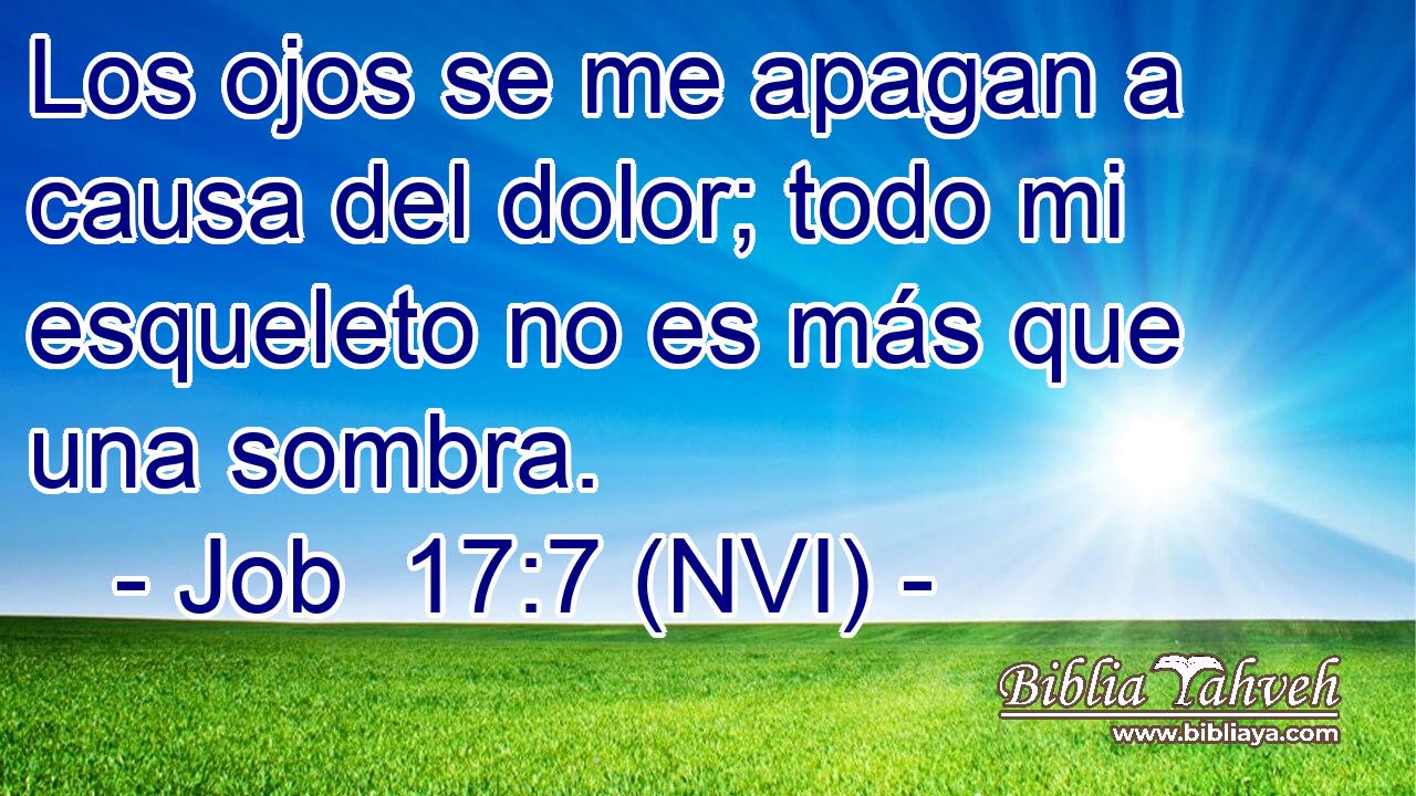  Los ojos se me apagan a causa del dolor; todo mi esqueleto no es más que una sombra. 