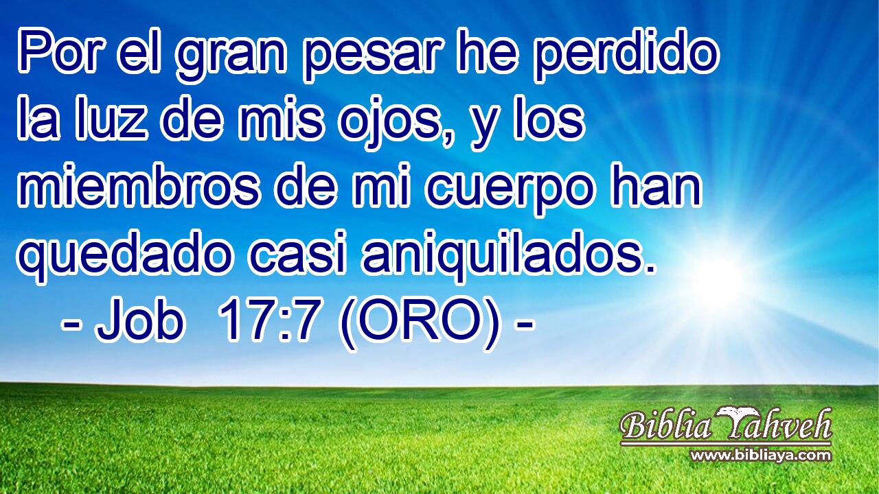  Por el gran pesar he perdido la luz de mis ojos, y los miembros de mi cuerpo han quedado casi aniquilados. 