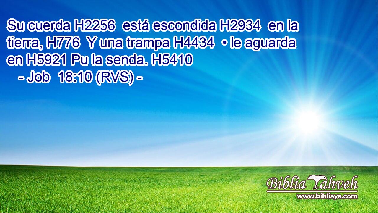 Su cuerda H2256  está escondida H2934  en la tierra, H776  Y una trampa H4434  • le aguarda en H5921 Pu la senda. H5410  