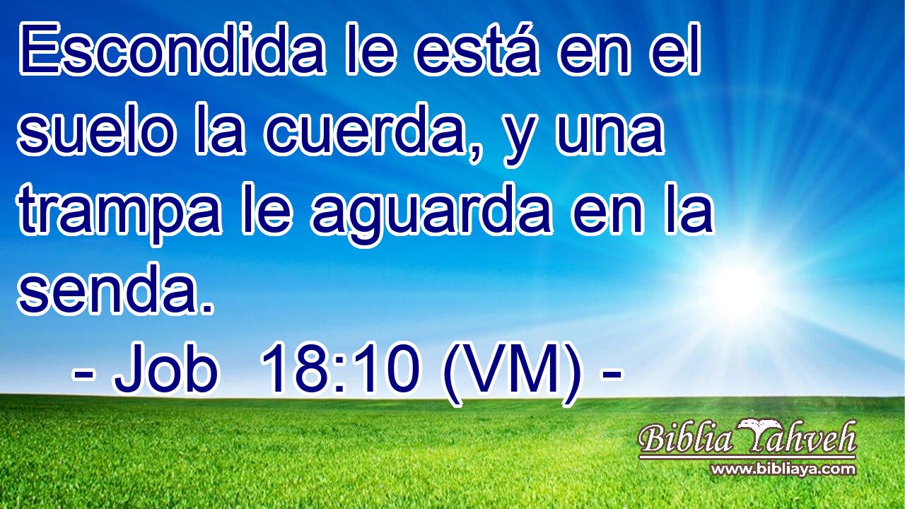  Escondida le está en el suelo la cuerda, y una trampa le aguarda en la senda. 