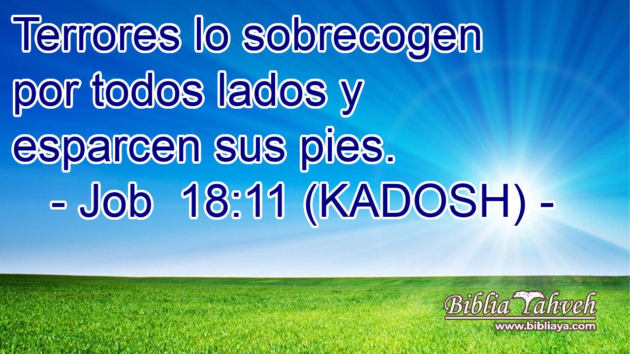  Terrores lo sobrecogen por todos lados y esparcen sus pies. 