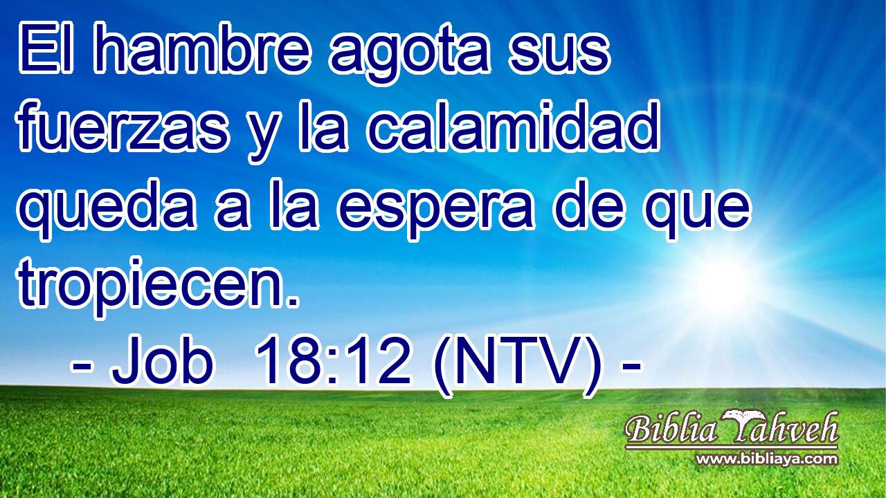 El hambre agota sus fuerzas y la calamidad queda a la espera de que tropiecen.