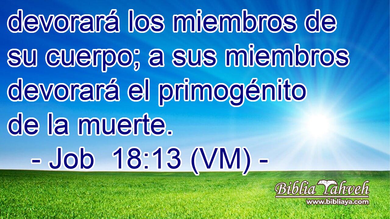  devorará los miembros de su cuerpo; a sus miembros devorará el primogénito de la muerte. 