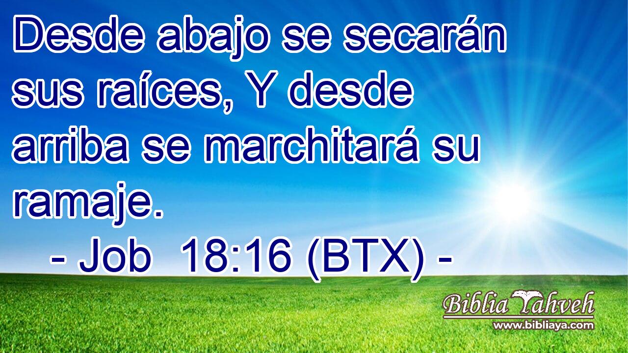 Desde abajo se secarán sus raíces, Y desde arriba se marchitará su ramaje.