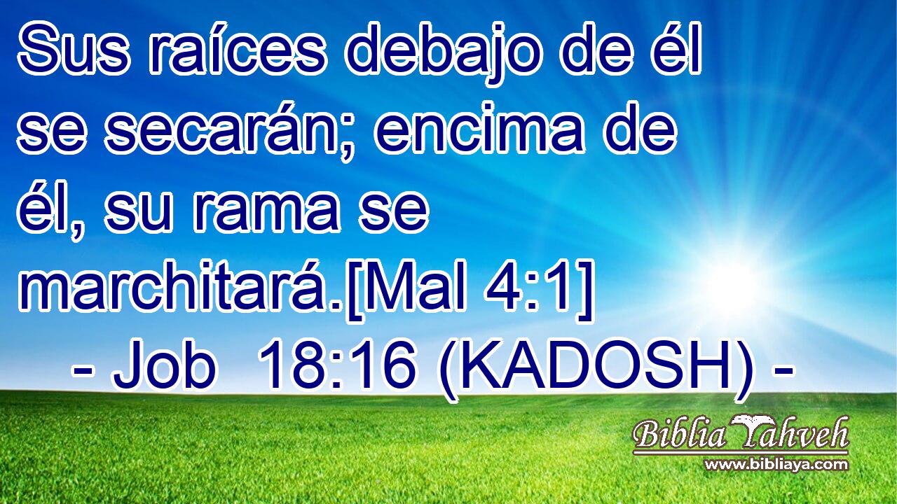  Sus raíces debajo de él se secarán; encima de él, su rama se marchitará.[Mal 4:1] 