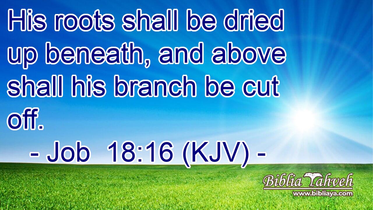 His roots shall be dried up beneath, and above shall his branch be cut off.