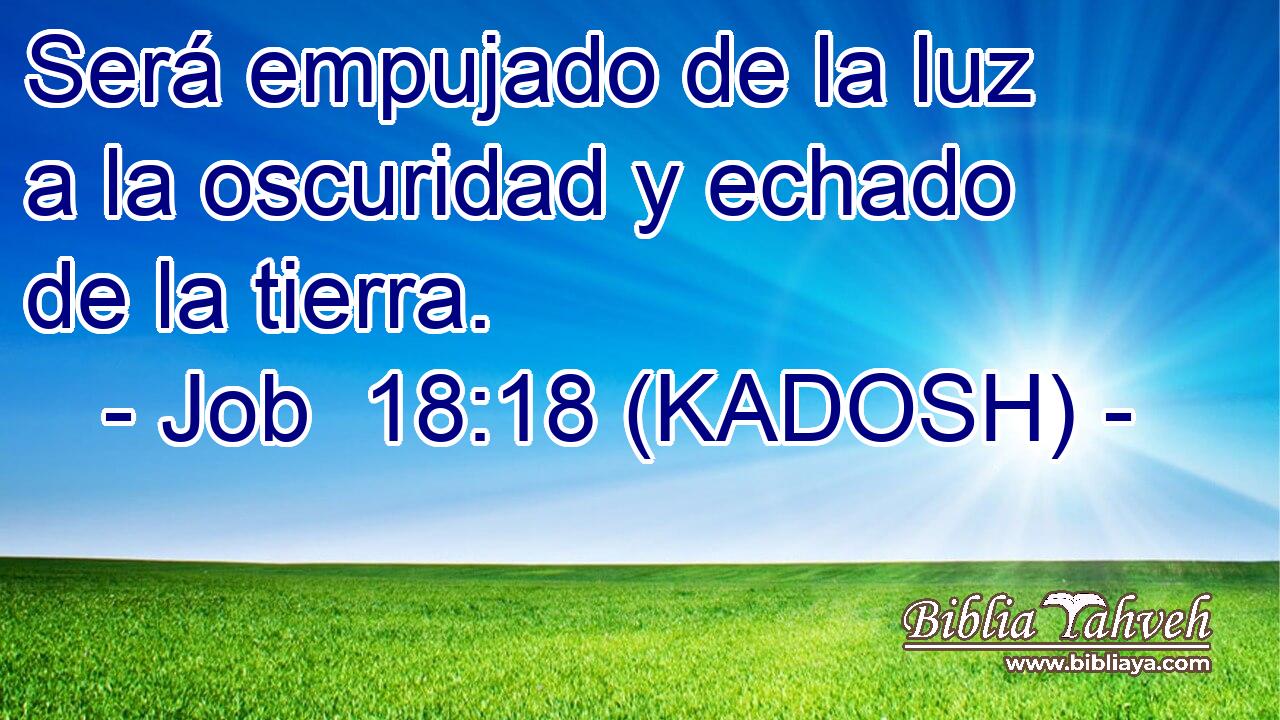  Será empujado de la luz a la oscuridad y echado de la tierra. 