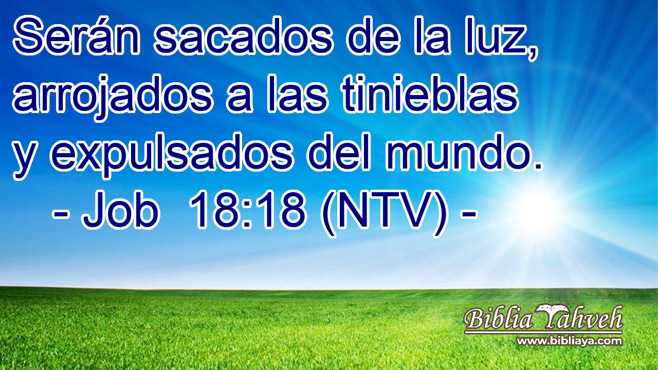 Serán sacados de la luz, arrojados a las tinieblas y expulsados del mundo.