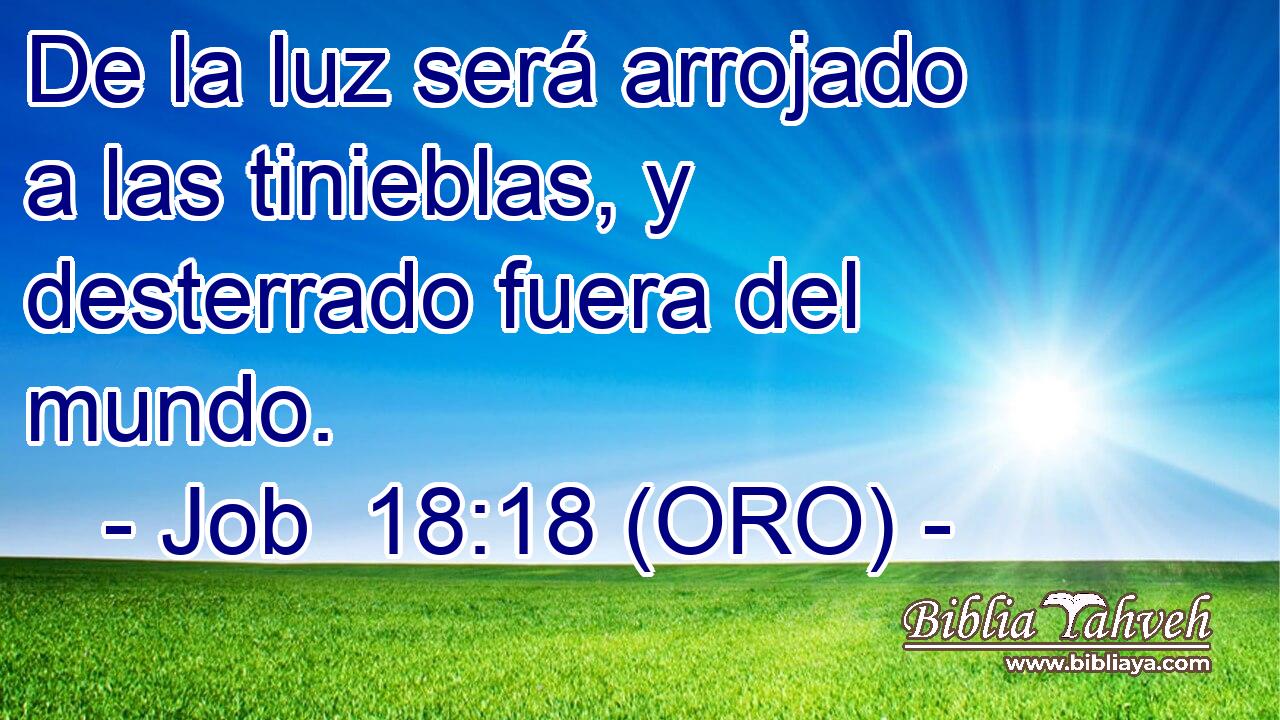  De la luz será arrojado a las tinieblas, y desterrado fuera del mundo. 
