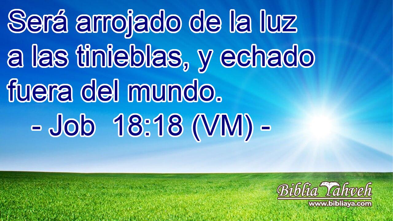  Será arrojado de la luz a las tinieblas, y echado fuera del mundo. 