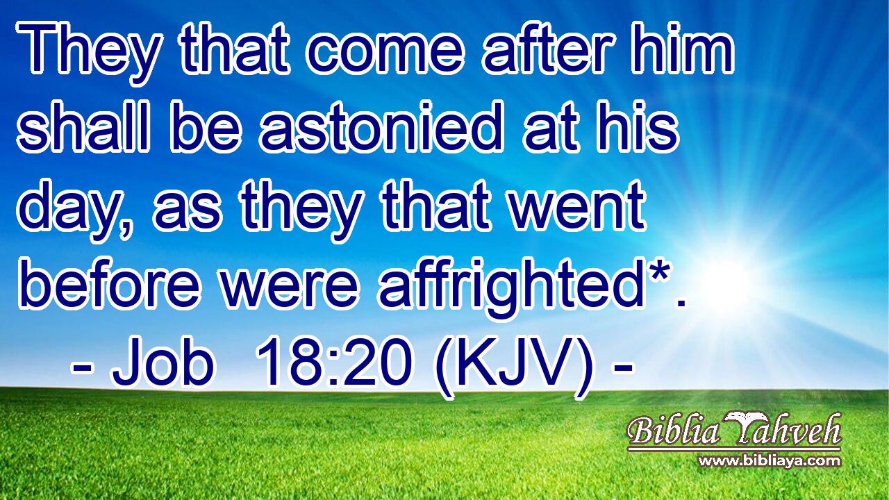 They that come after him shall be astonied at his day, as they that went before were affrighted*.