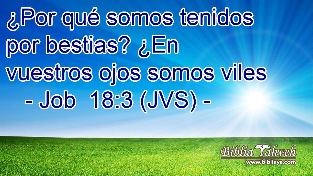 ¿Por qué somos tenidos por bestias? ¿En vuestros ojos somos viles