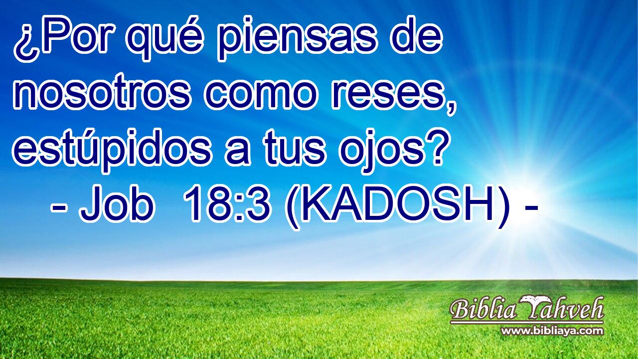  ¿Por qué piensas de nosotros como reses, estúpidos a tus ojos? 