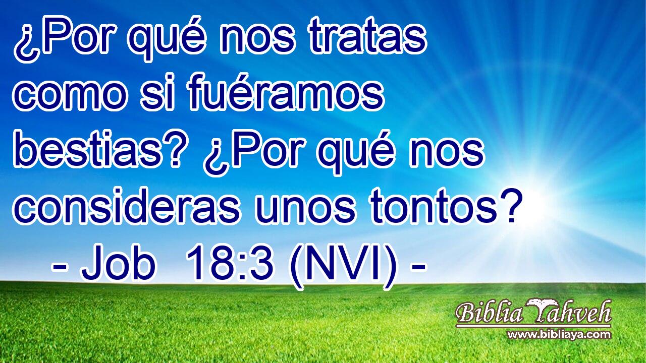  ¿Por qué nos tratas como si fuéramos bestias? ¿Por qué nos consideras unos tontos? 