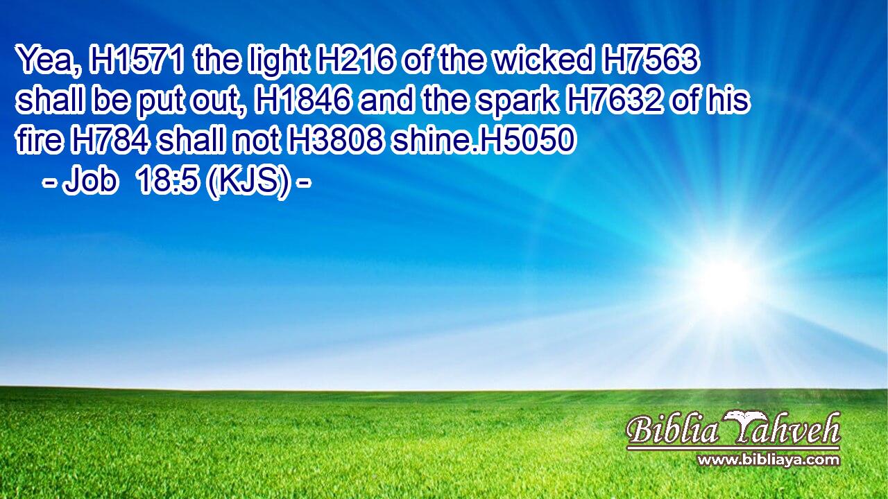 Yea, H1571 the light H216 of the wicked H7563 shall be put out, H1846 and the spark H7632 of his fire H784 shall not H3808 shine.H5050