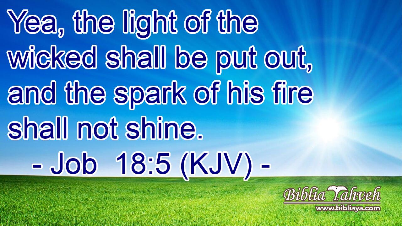 Yea, the light of the wicked shall be put out, and the spark of his fire shall not shine.