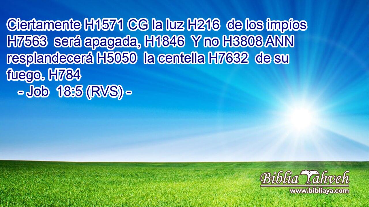 Ciertamente H1571 CG la luz H216  de los impíos H7563  será apagada, H1846  Y no H3808 ANN resplandecerá H5050  la centella H7632  de su fuego. H784  