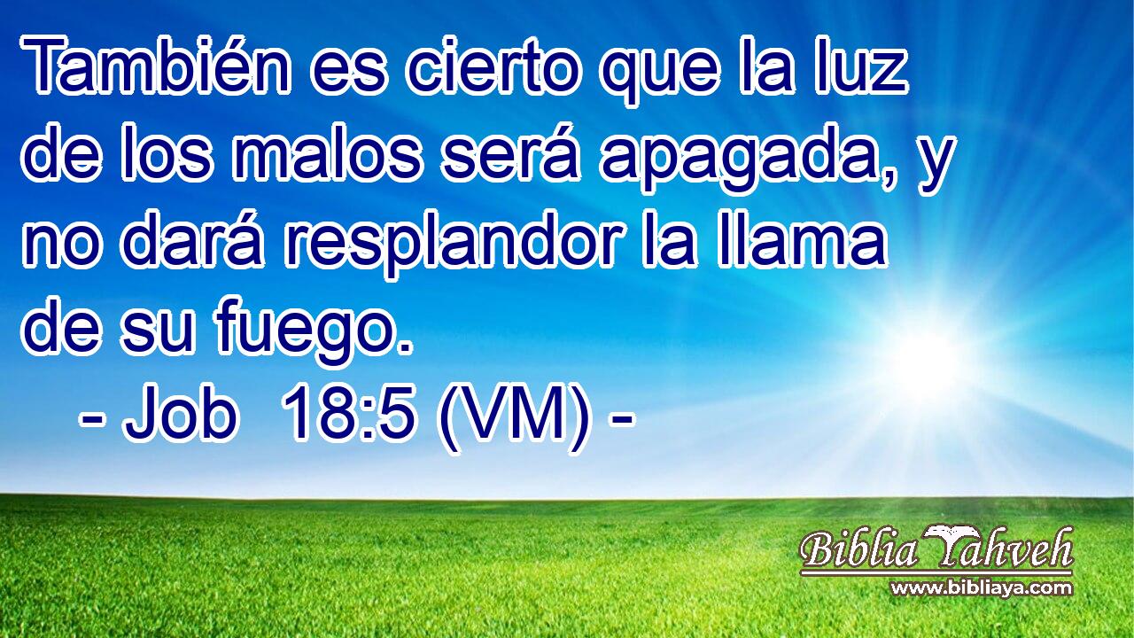  También es cierto que la luz de los malos será apagada, y no dará resplandor la llama de su fuego. 