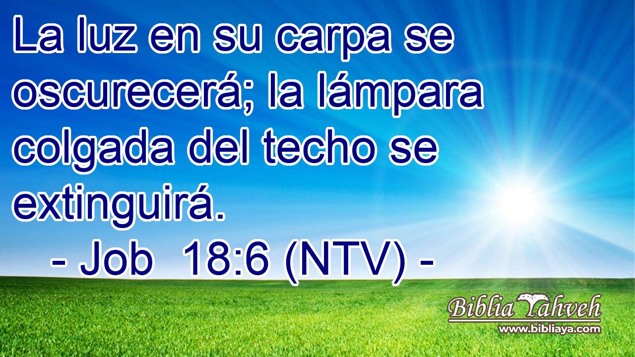 La luz en su carpa se oscurecerá; la lámpara colgada del techo se extinguirá.
