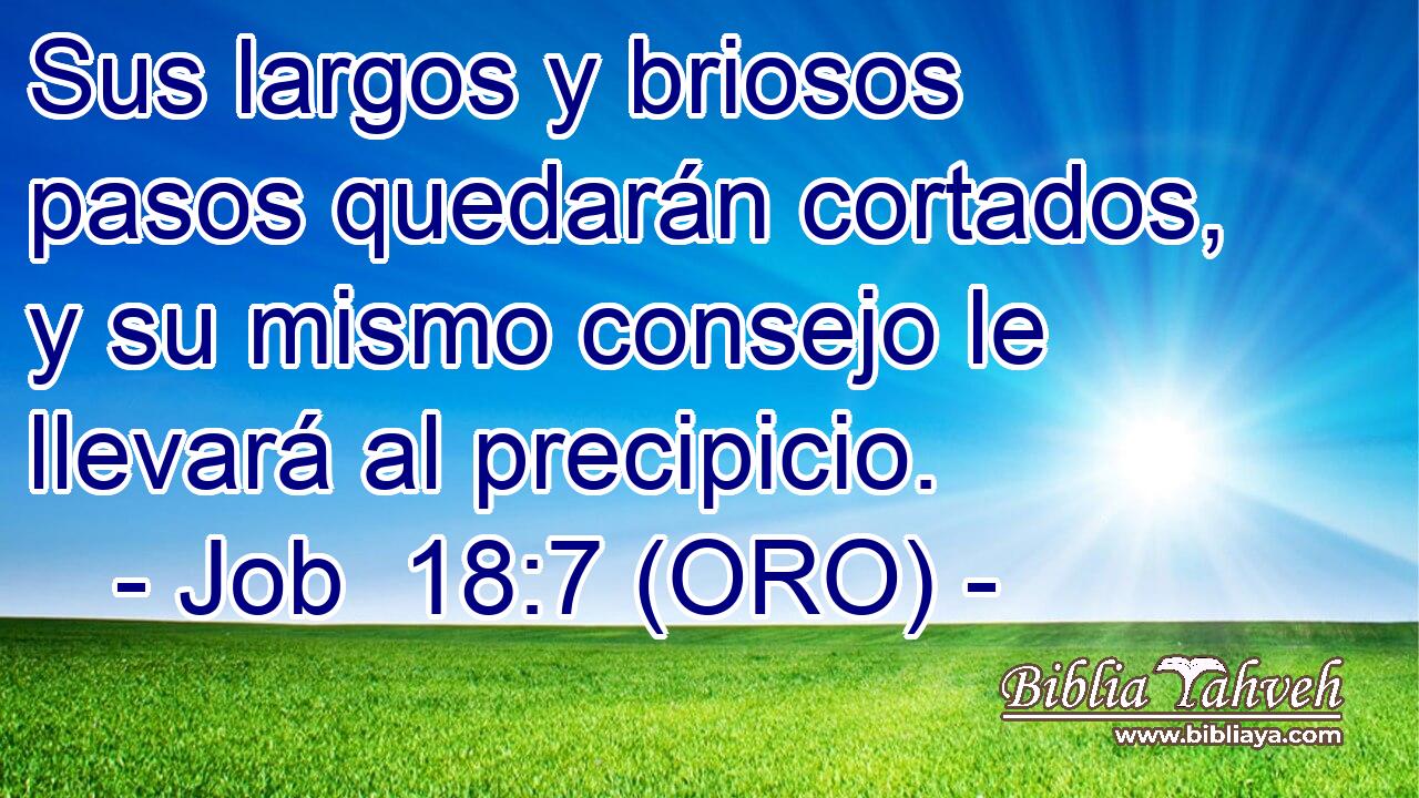  Sus largos y briosos pasos quedarán cortados, y su mismo consejo le llevará al precipicio. 