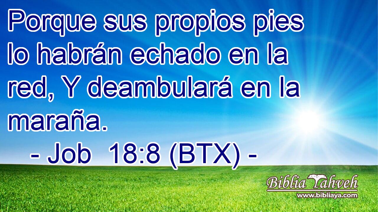 Porque sus propios pies lo habrán echado en la red, Y deambulará en la maraña.