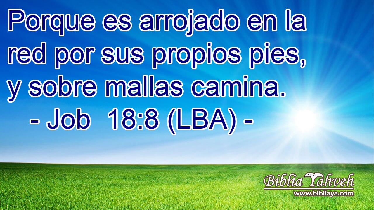 Porque es arrojado en la red por sus propios pies, y sobre mallas camina.