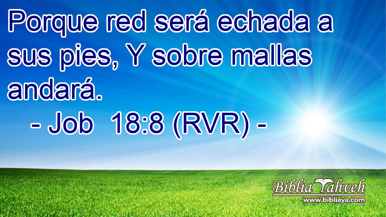 Porque red será echada a sus pies, Y sobre mallas andará.