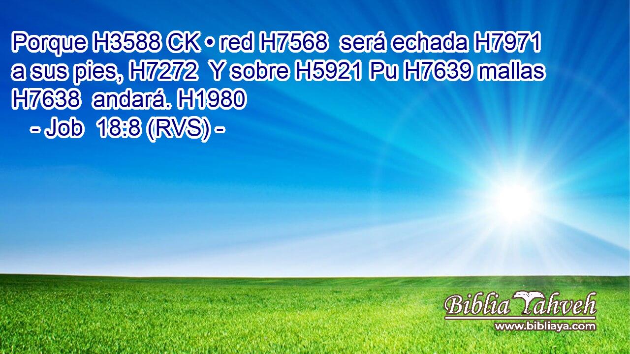 Porque H3588 CK • red H7568  será echada H7971  a sus pies, H7272  Y sobre H5921 Pu H7639 mallas H7638  andará. H1980  