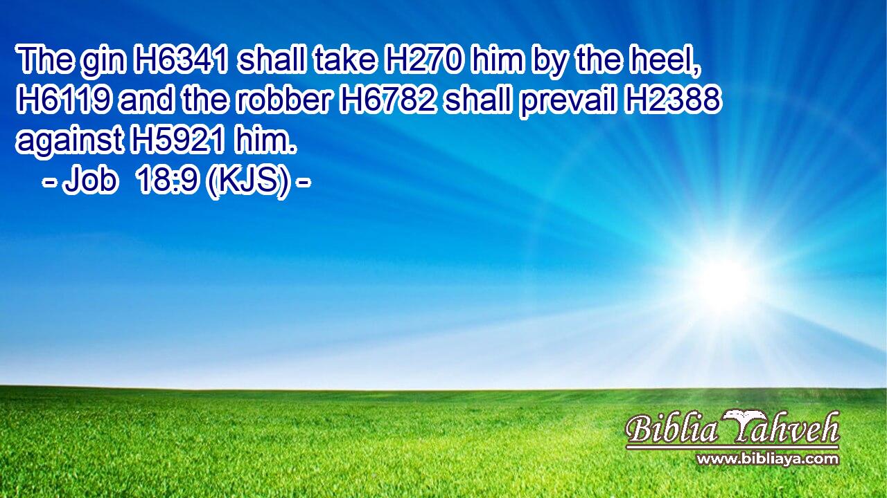 The gin H6341 shall take H270 him by the heel, H6119 and the robber H6782 shall prevail H2388 against H5921 him.