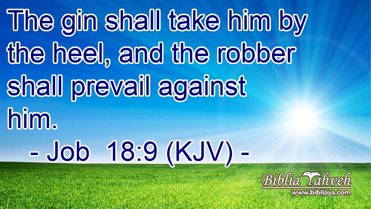 The gin shall take him by the heel, and the robber shall prevail against him.