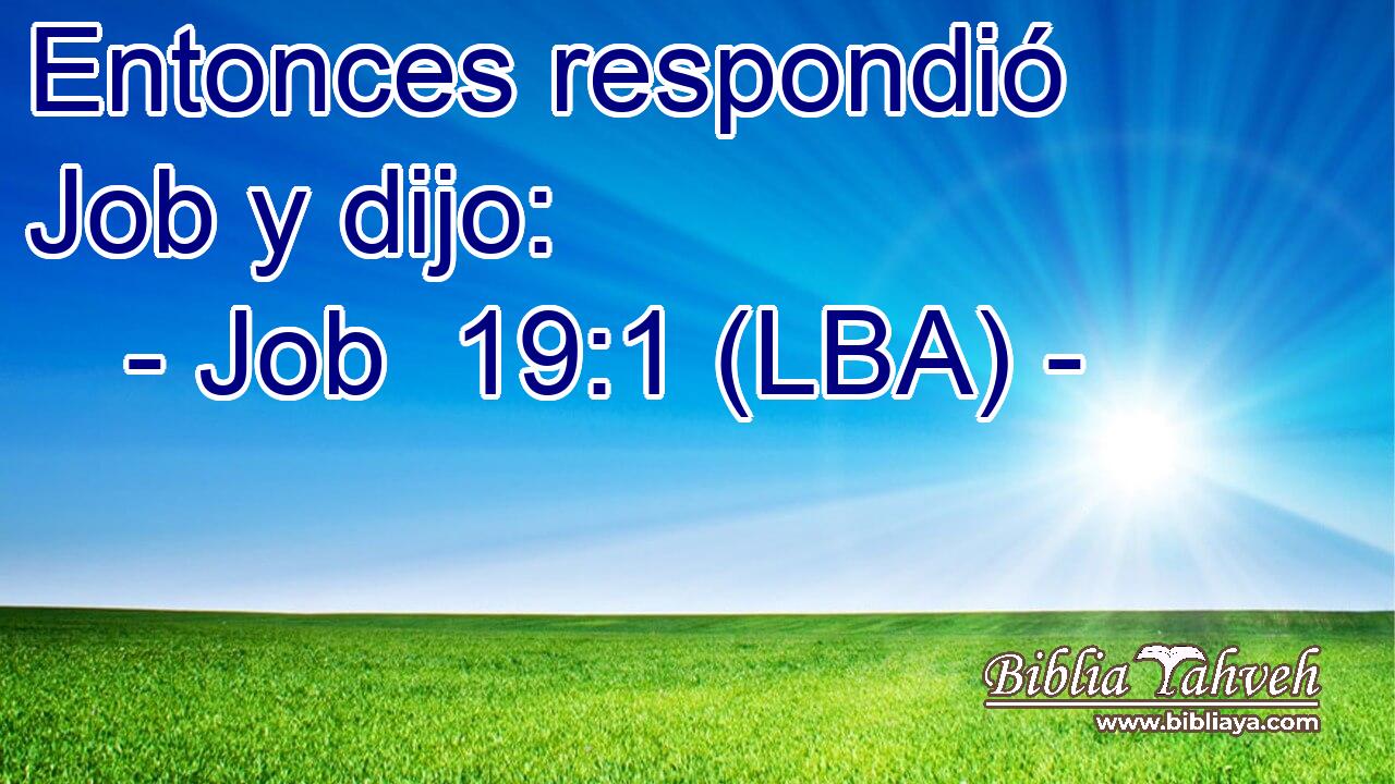 Entonces respondió Job y dijo: