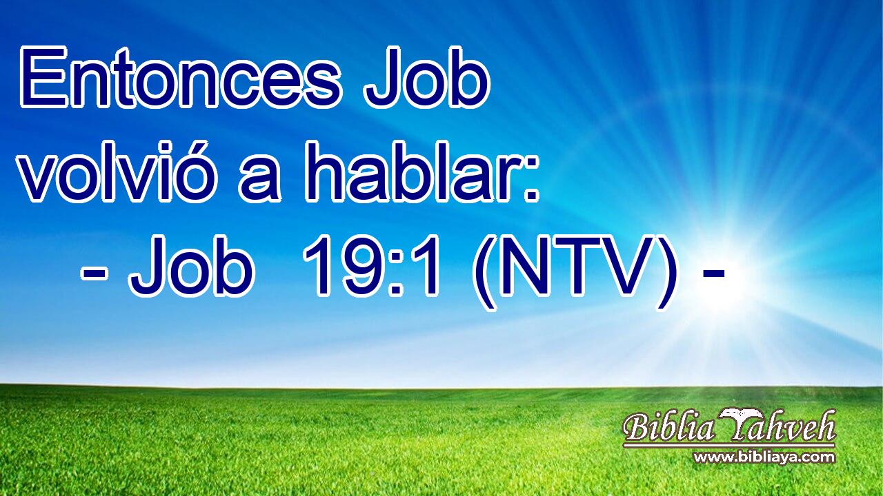 Entonces Job volvió a hablar:
