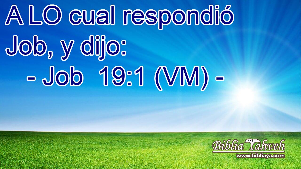  A LO cual respondió Job, y dijo: 