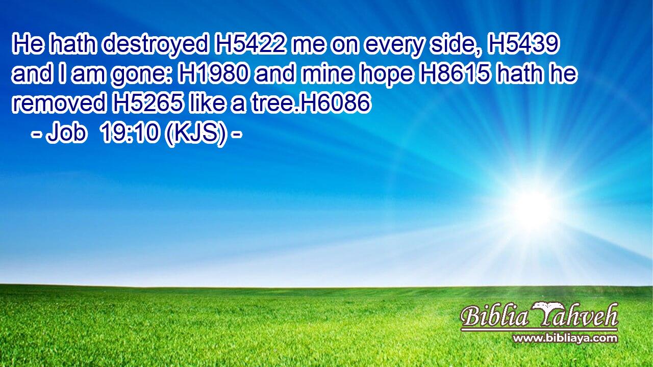 He hath destroyed H5422 me on every side, H5439 and I am gone: H1980 and mine hope H8615 hath he removed H5265 like a tree.H6086