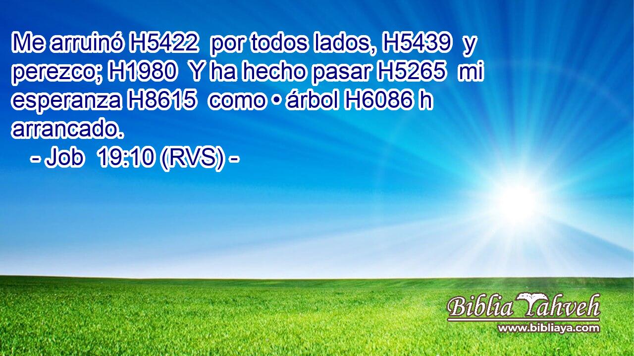 Me arruinó H5422  por todos lados, H5439  y perezco; H1980  Y ha hecho pasar H5265  mi esperanza H8615  como • árbol H6086 h arrancado. 