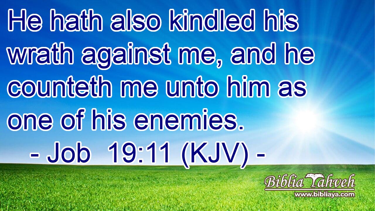 He hath also kindled his wrath against me, and he counteth me unto him as one of his enemies.