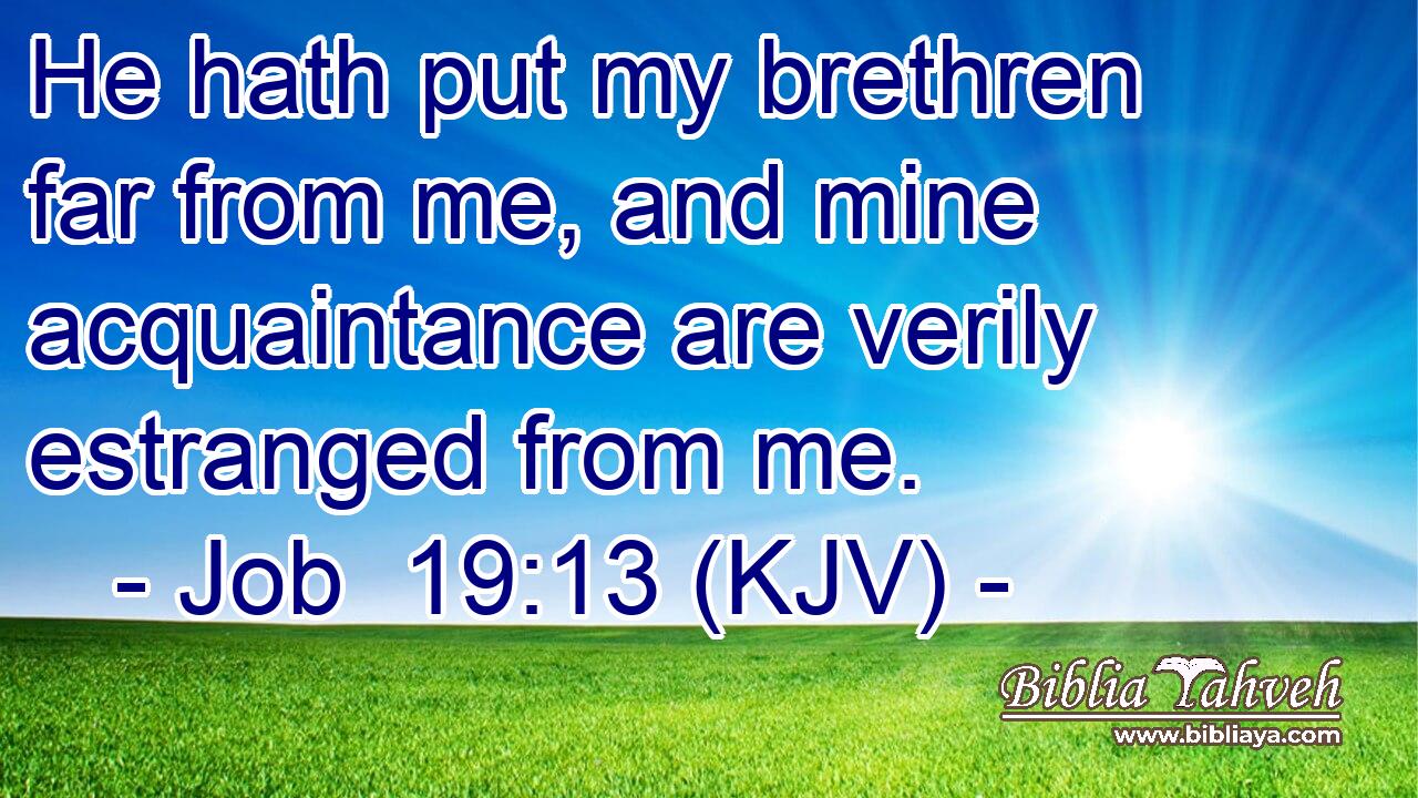 He hath put my brethren far from me, and mine acquaintance are verily estranged from me.