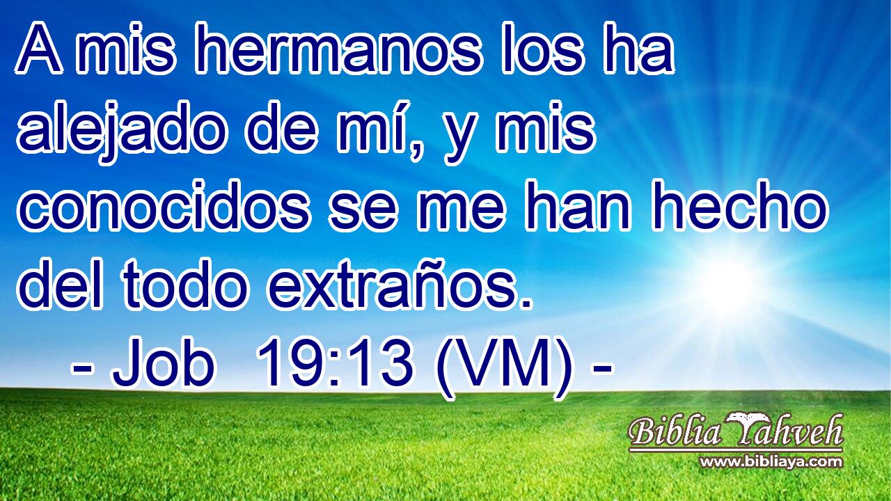  A mis hermanos los ha alejado de mí, y mis conocidos se me han hecho del todo extraños. 