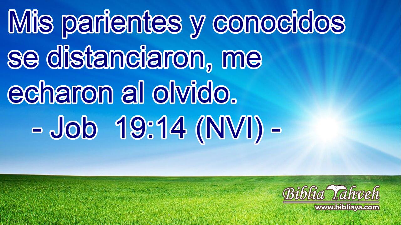  Mis parientes y conocidos se distanciaron, me echaron al olvido. 