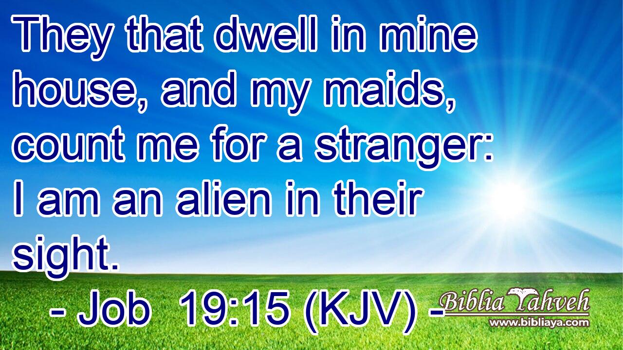 They that dwell in mine house, and my maids, count me for a stranger: I am an alien in their sight.