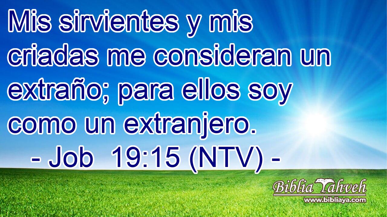 Mis sirvientes y mis criadas me consideran un extraño; para ellos soy como un extranjero.